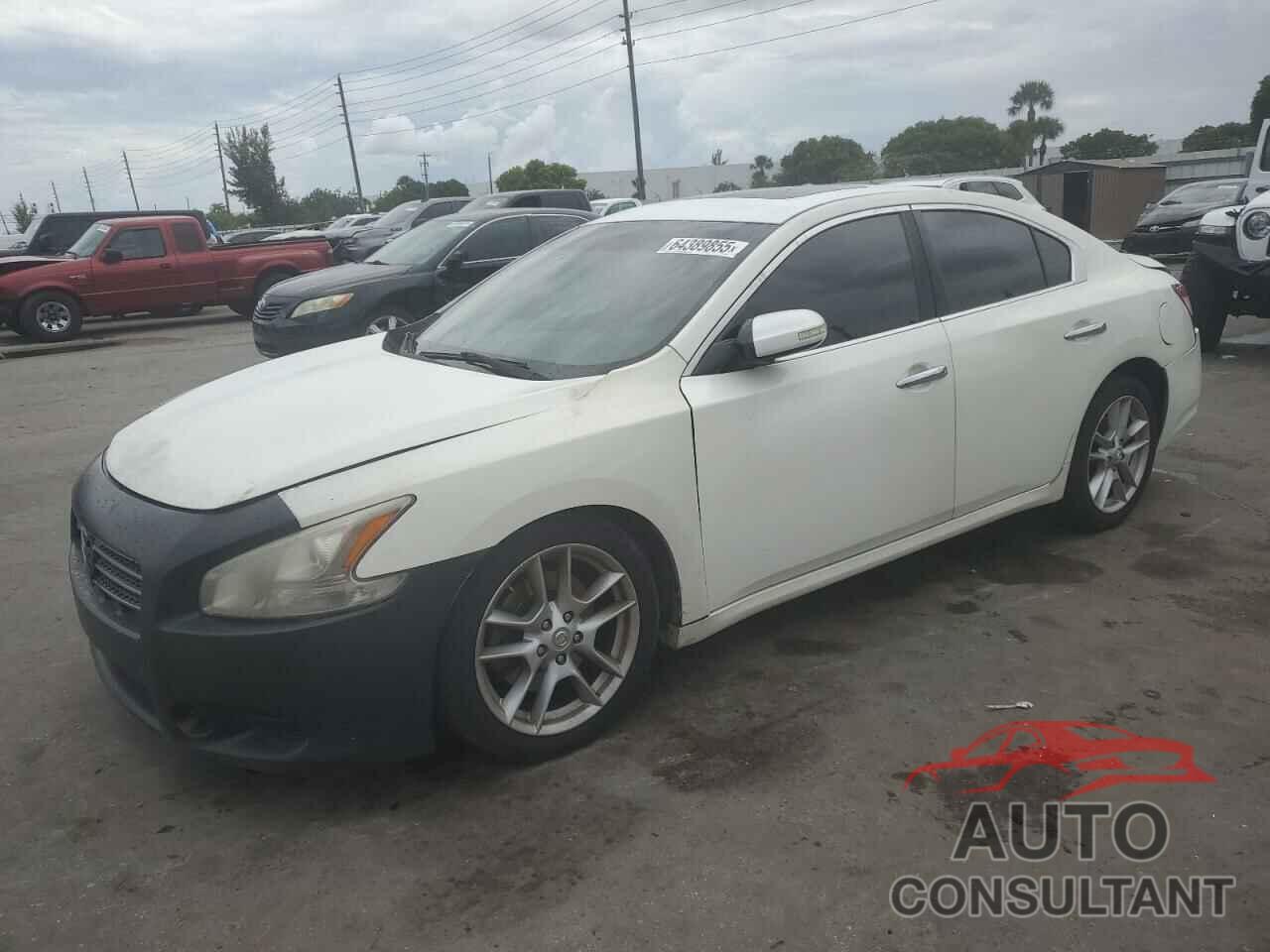 NISSAN MAXIMA 2009 - 1N4AA51EX9C850826