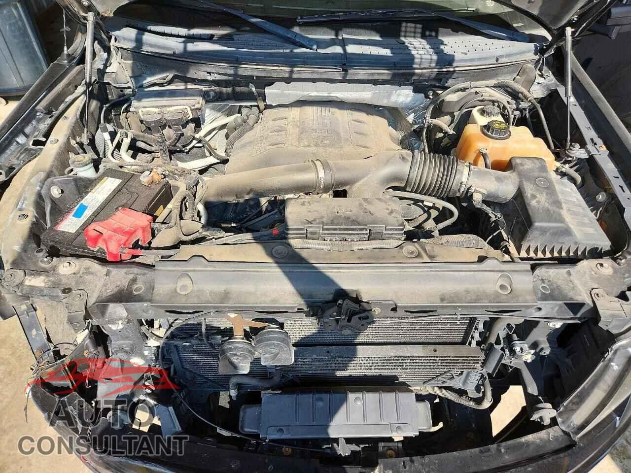 FORD F150 2011 - 1FTFW1ET5BFC79995