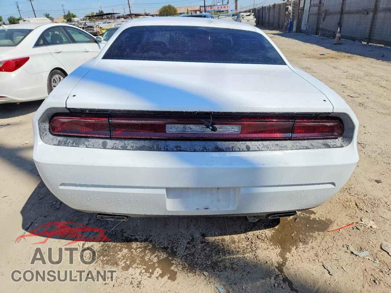 DODGE CHALLENGER 2013 - 2C3CDYAG2DH733801