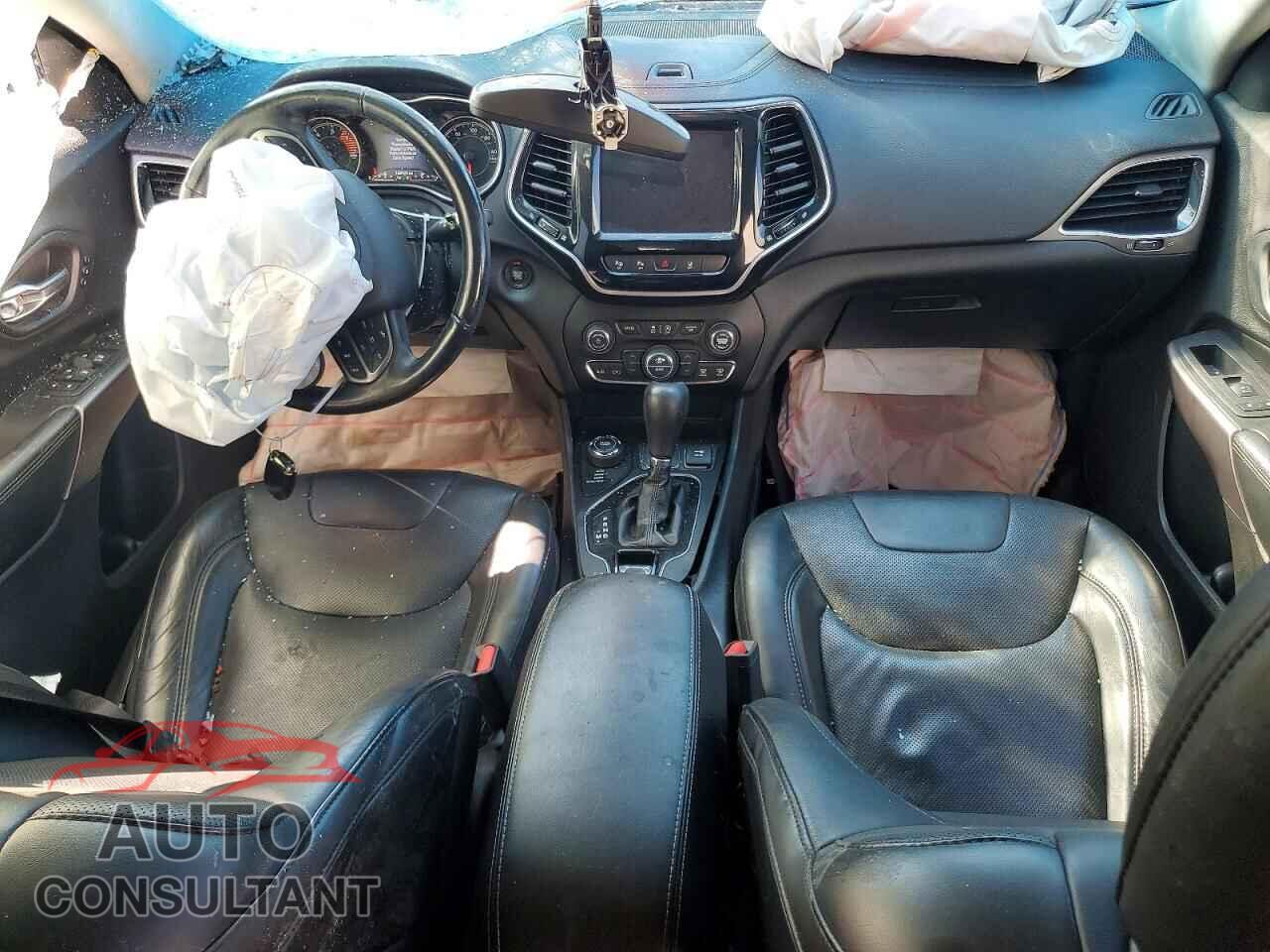 JEEP CHEROKEE 2019 - 1C4PJMDN8KD257007