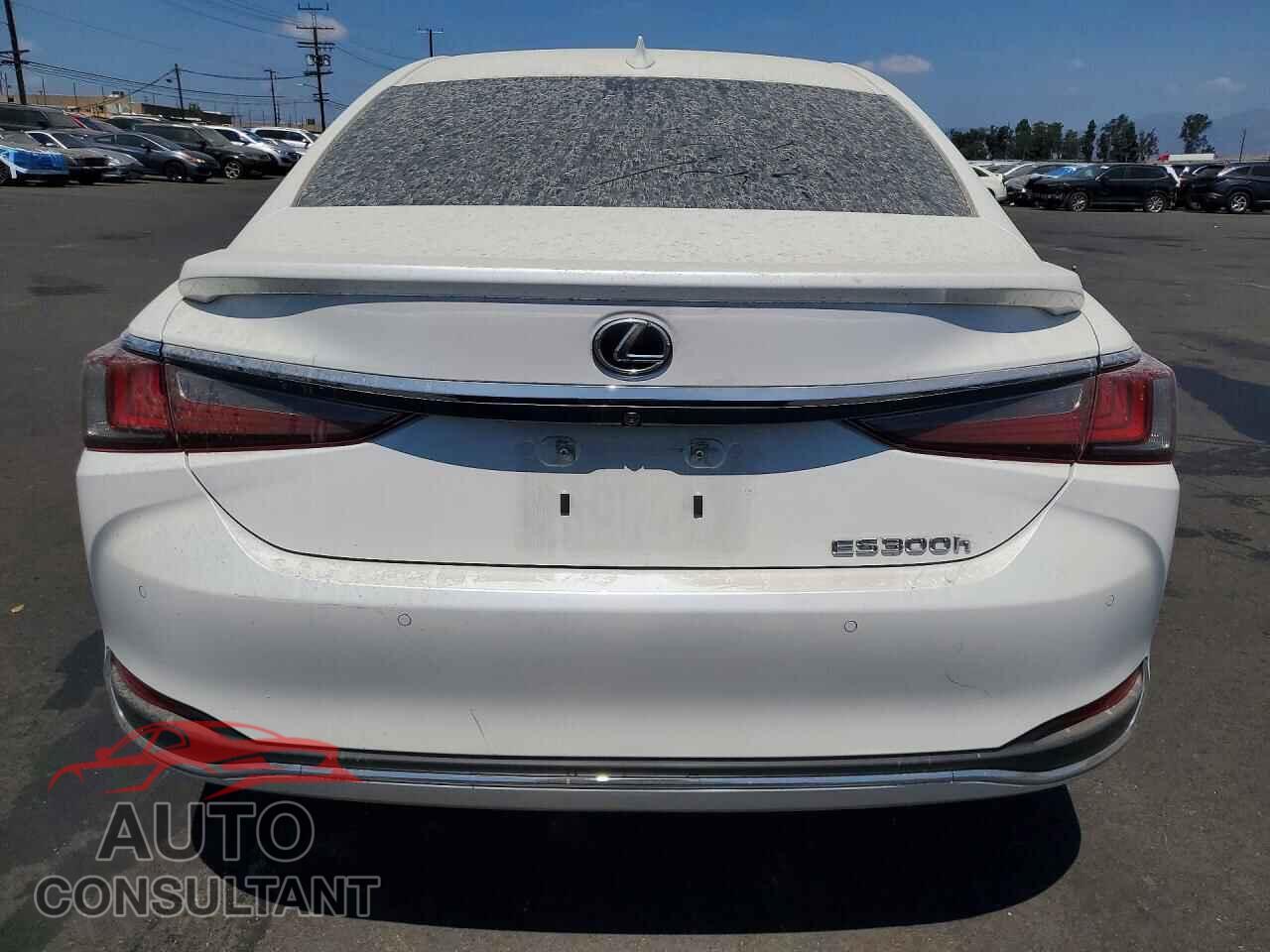 LEXUS ES300 2025 - 58ADA1C18SU063971