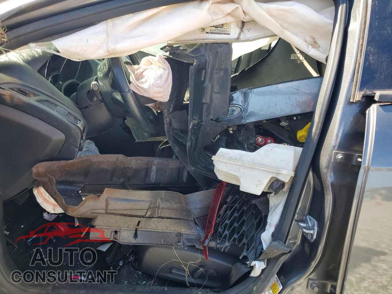 FORD FOCUS 2016 - 1FADP3K20GL350160