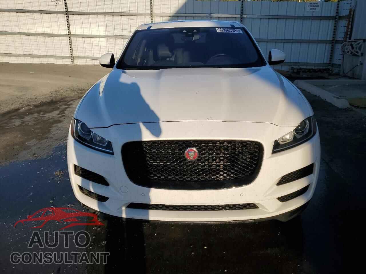 JAGUAR F-PACE 2020 - SADCJ2FX2LA645505