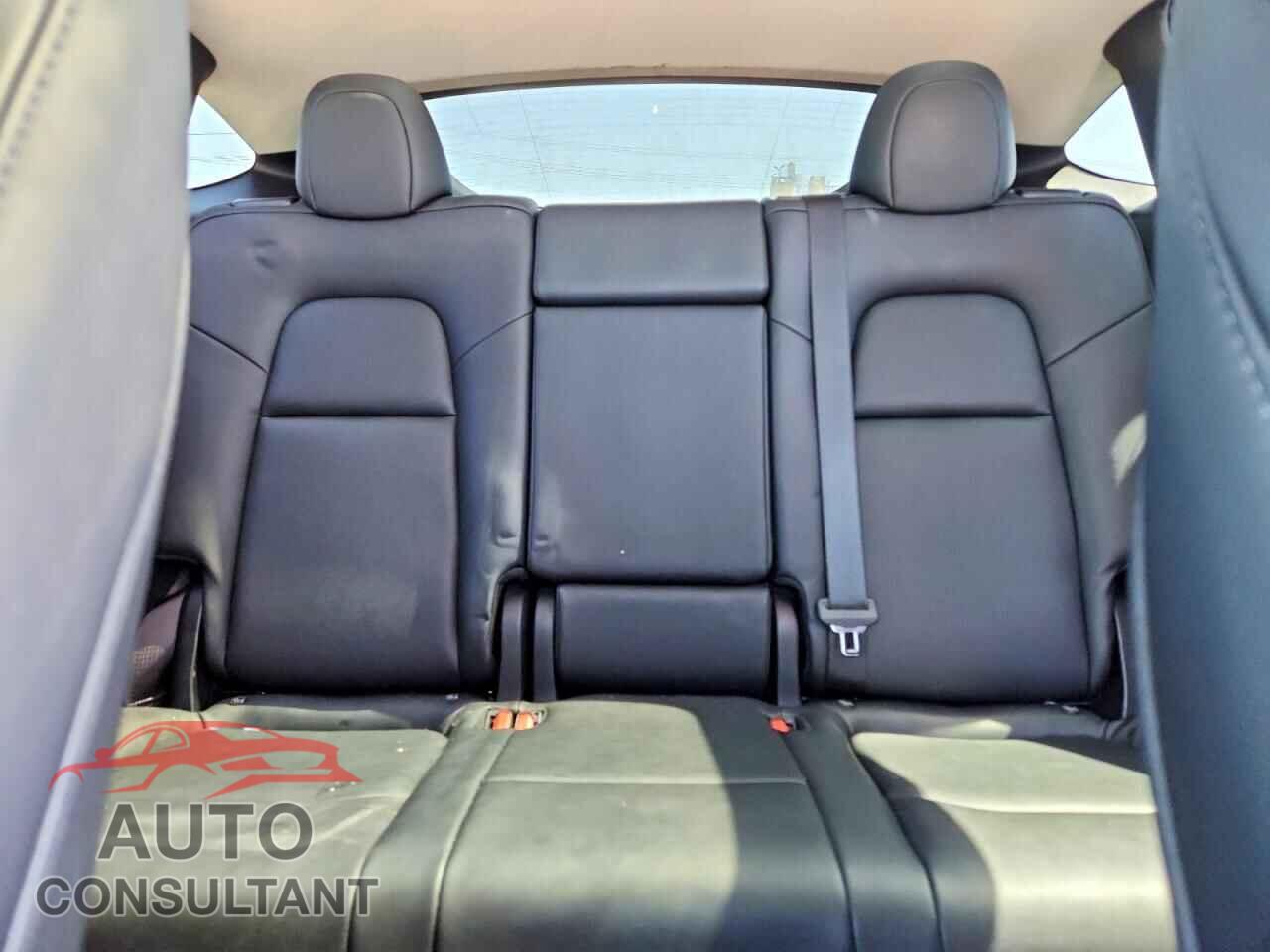 TESLA MODEL Y 2023 - 7SAYGDEDXPF949734
