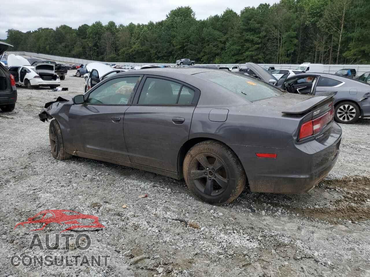 DODGE CHARGER 2014 - 2C3CDXBG6EH271866
