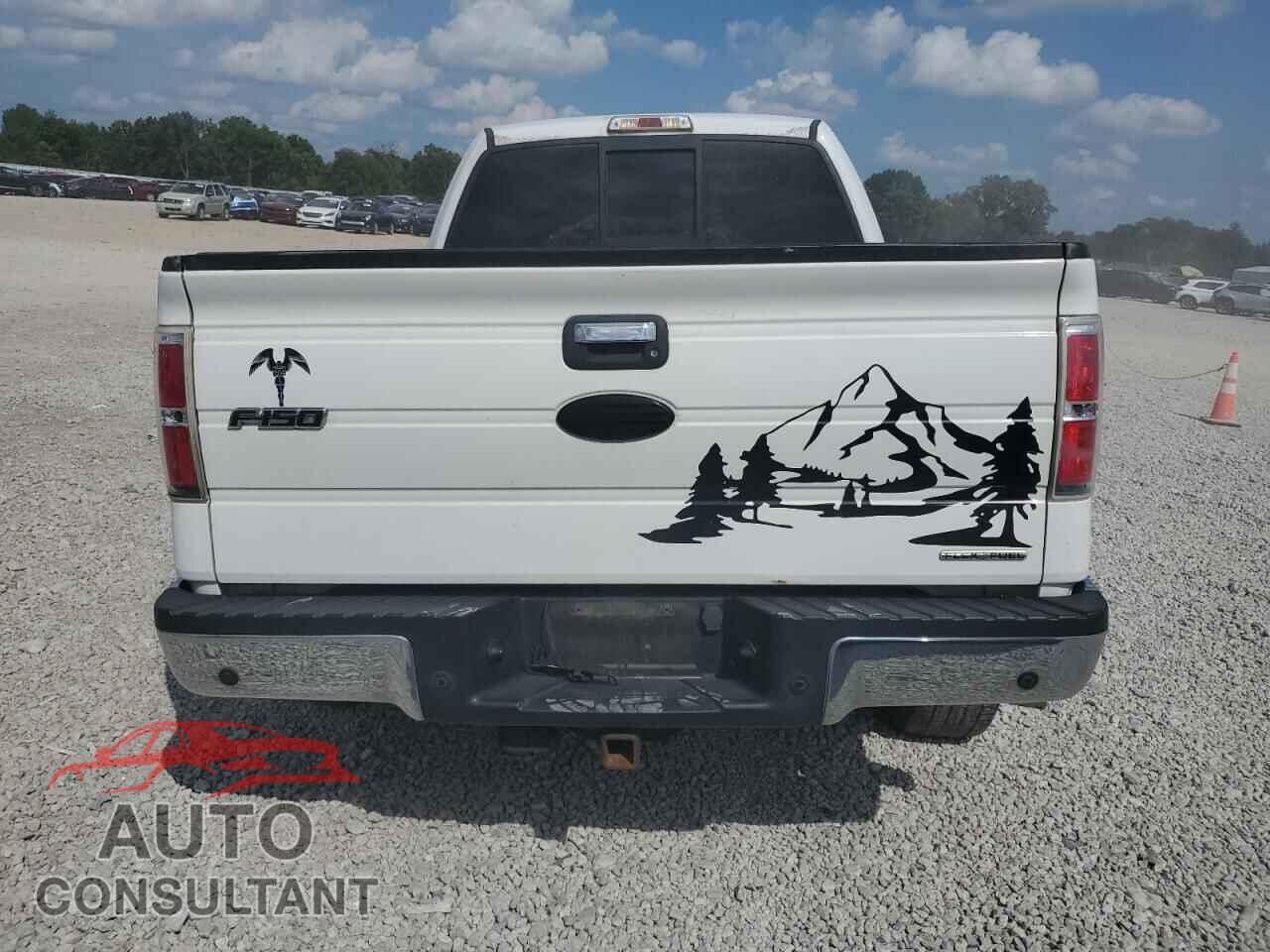 FORD F-150 2012 - 1FTFX1EF1CFC73684