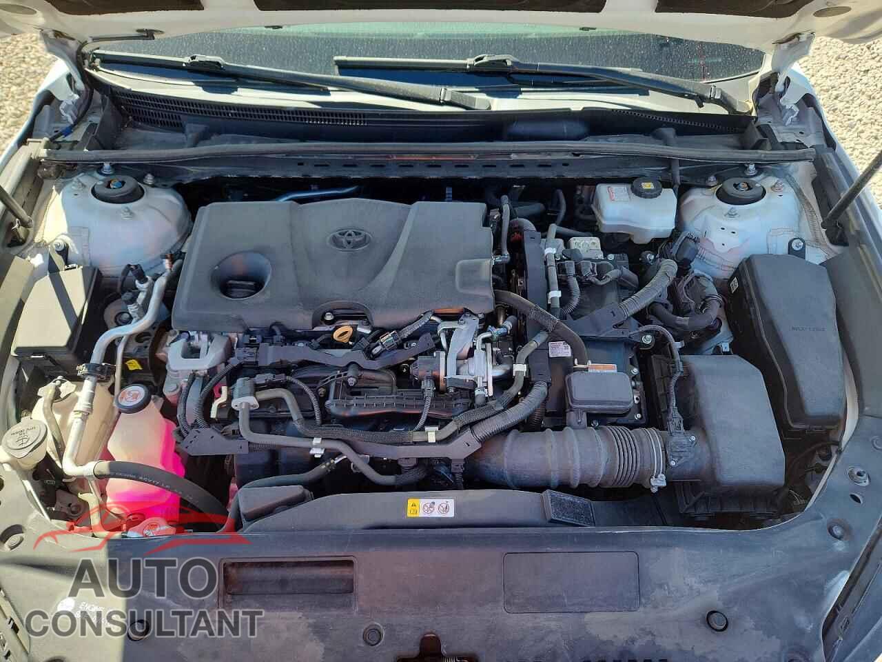 TOYOTA AVALON 2019 - 4T1B21FB7KU006581