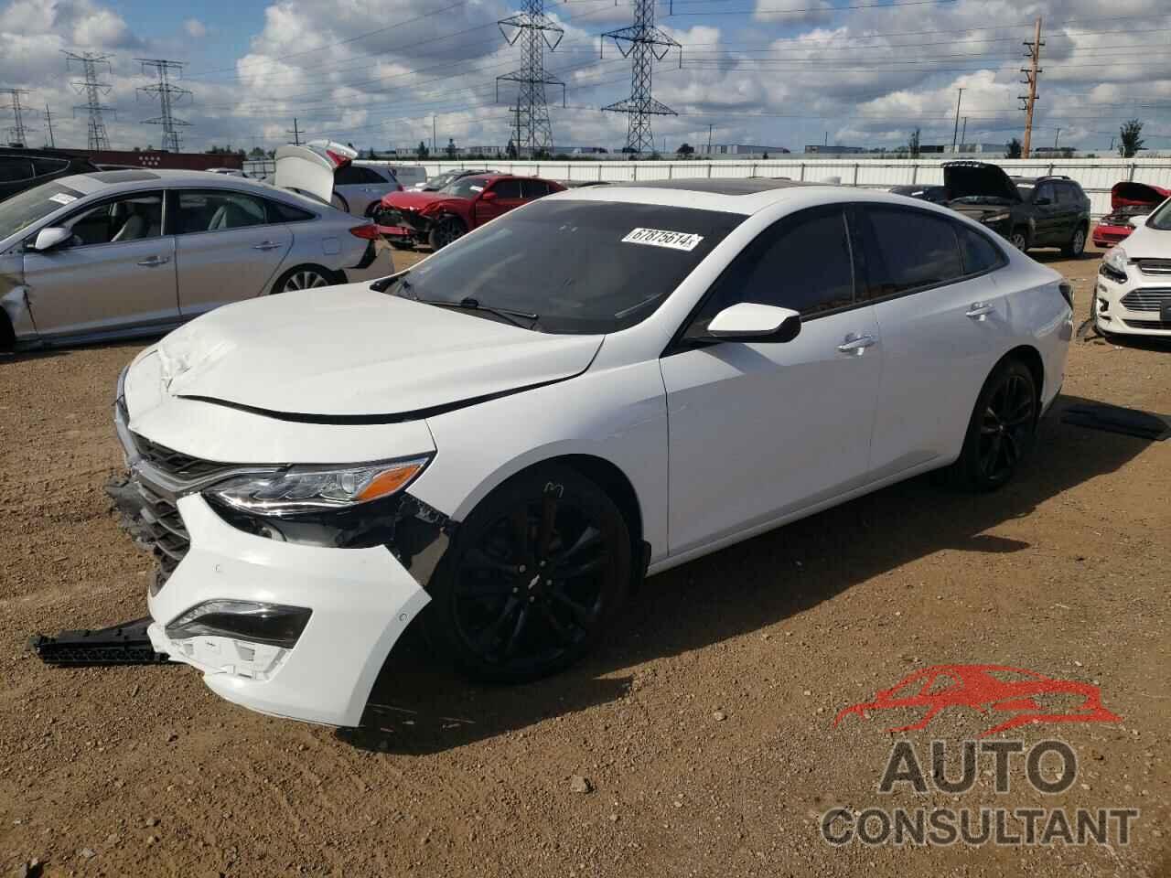 CHEVROLET MALIBU 2019 - 1G1ZE5SX4KF151450