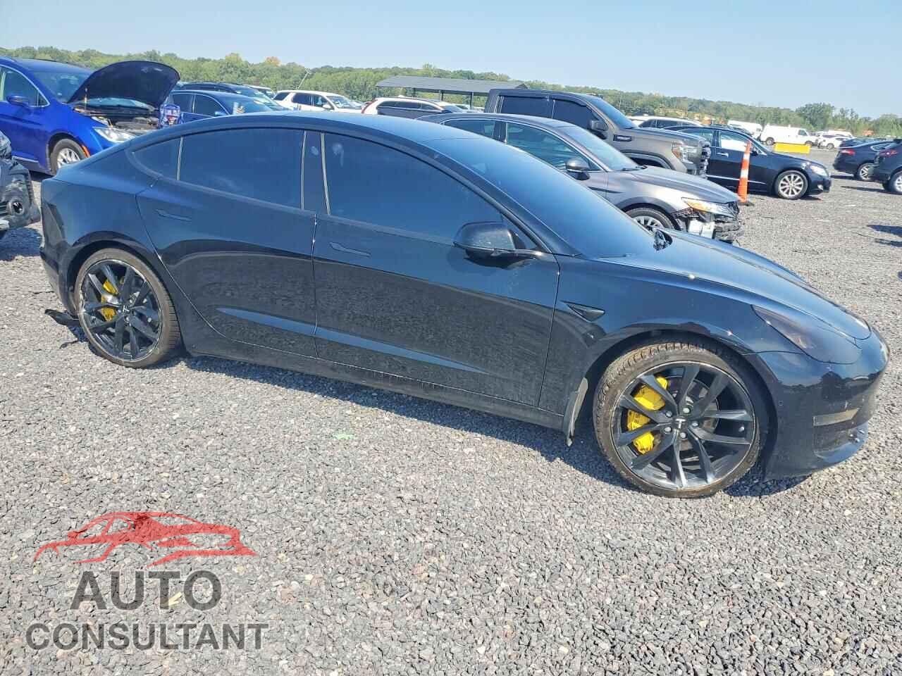 TESLA MODEL 3 2019 - 5YJ3E1EBXKF208566