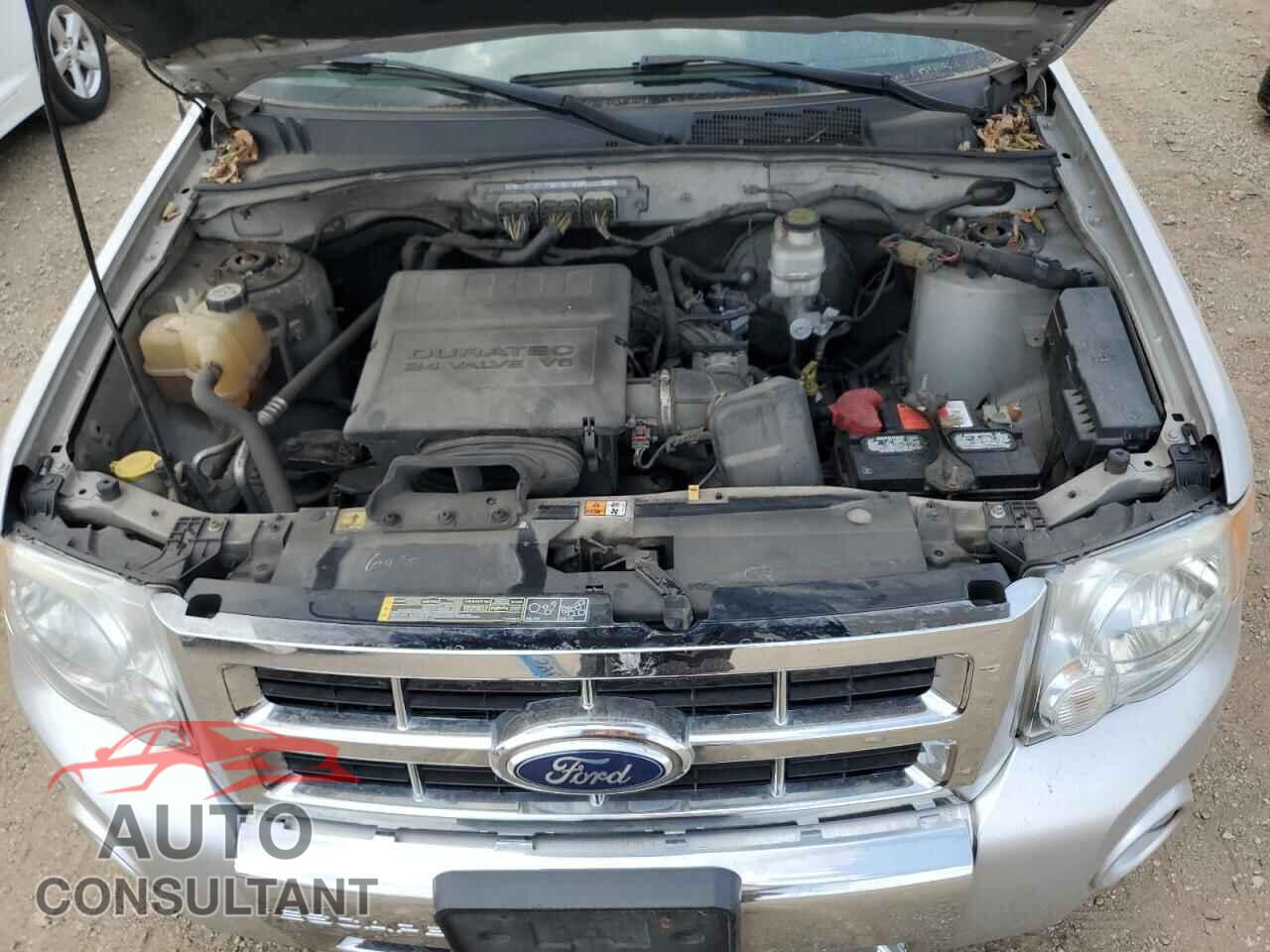 FORD ESCAPE 2011 - 1FMCU9EG7BKA28506