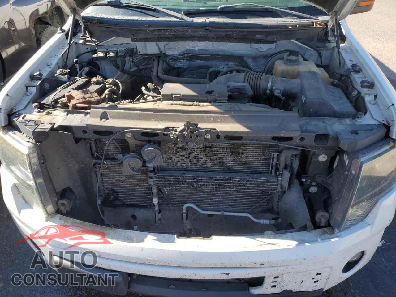 FORD F-150 2013 - 1FTFW1CF2DFA65367