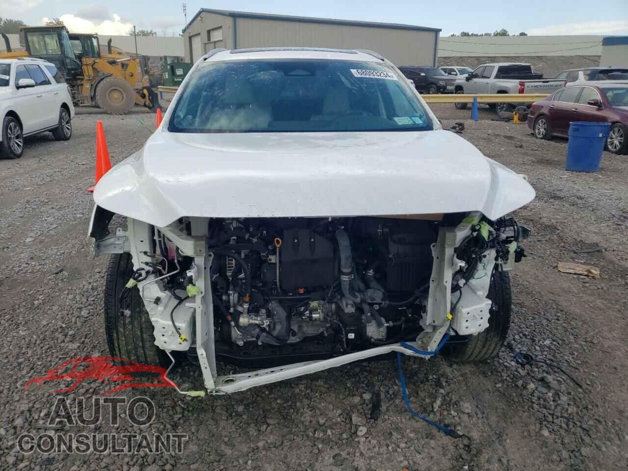 LEXUS RX350 2023 - 2T2BAMCA0PC035344
