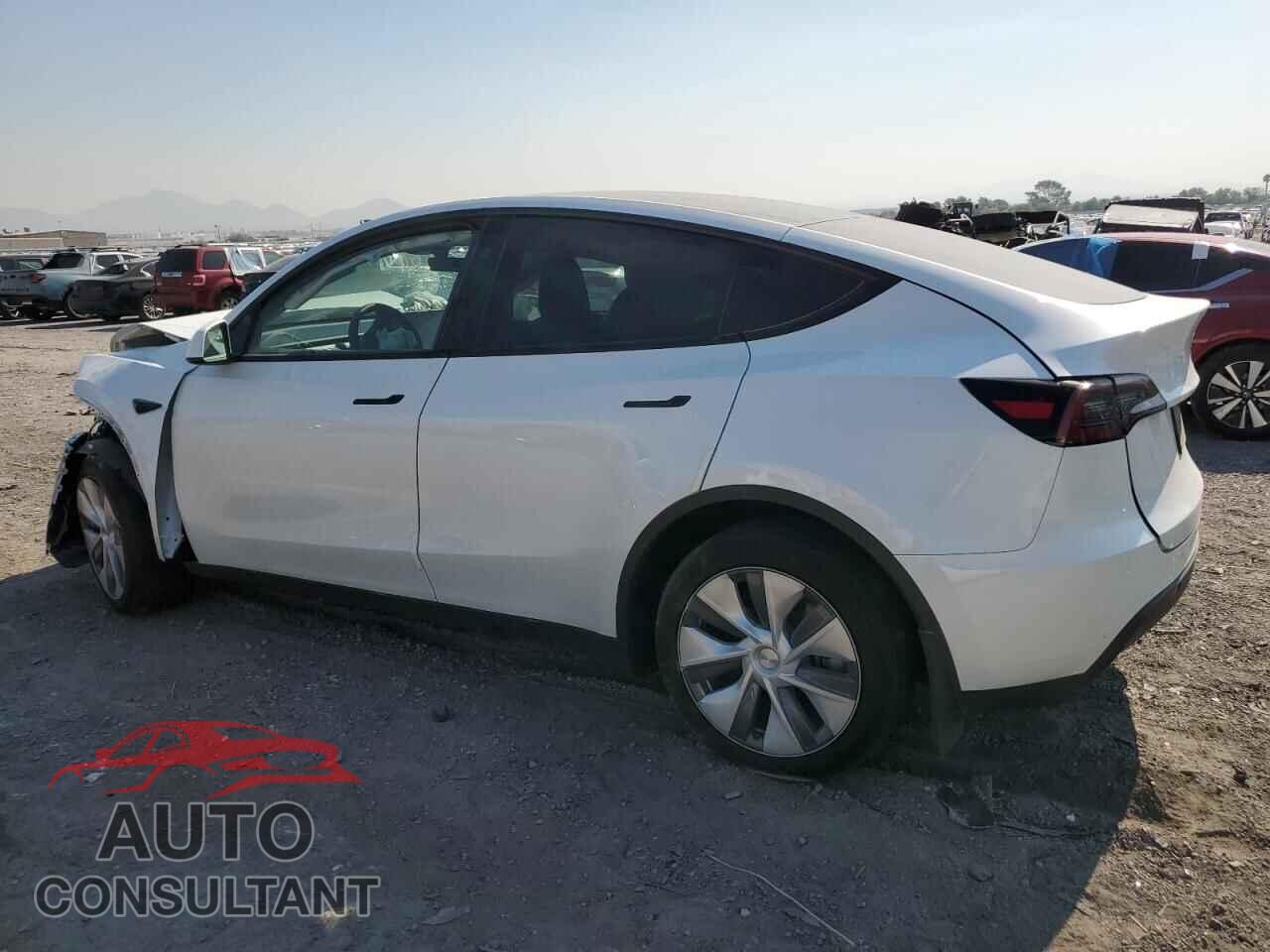 TESLA MODEL Y 2024 - 7SAYGDED1RF091587