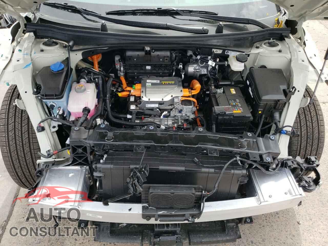 KIA EV6 LIGHT 2024 - KNDC3DLC8R5620922