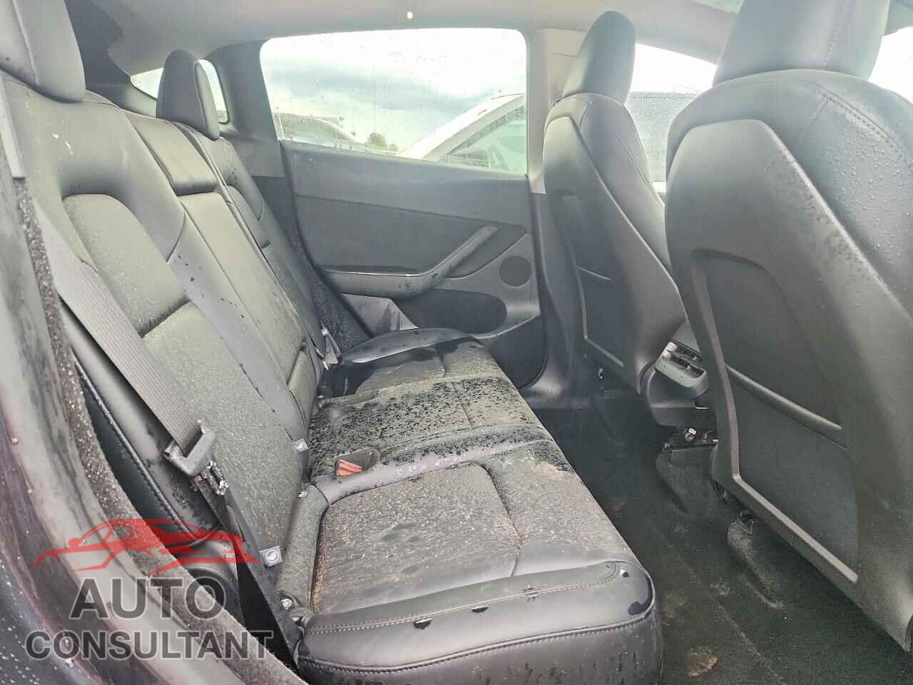 TESLA MODEL Y 2025 - 7SAYGDEE0SF223494