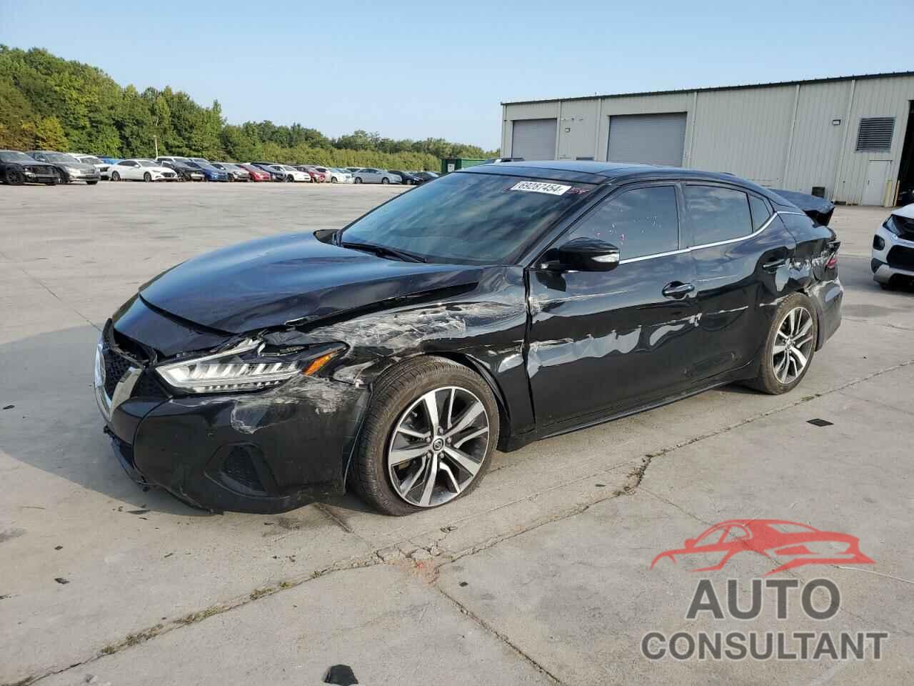 NISSAN MAXIMA 2019 - 1N4AA6AV6KC368740