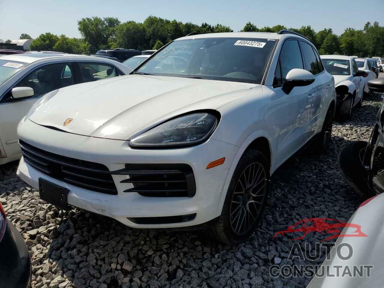 PORSCHE CAYENNE 2022 - WP1AA2AY3NDA05497