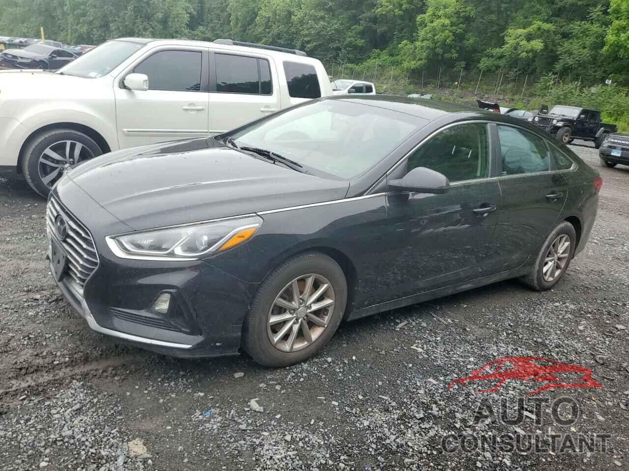 HYUNDAI SONATA 2019 - 5NPE24AF0KH749901