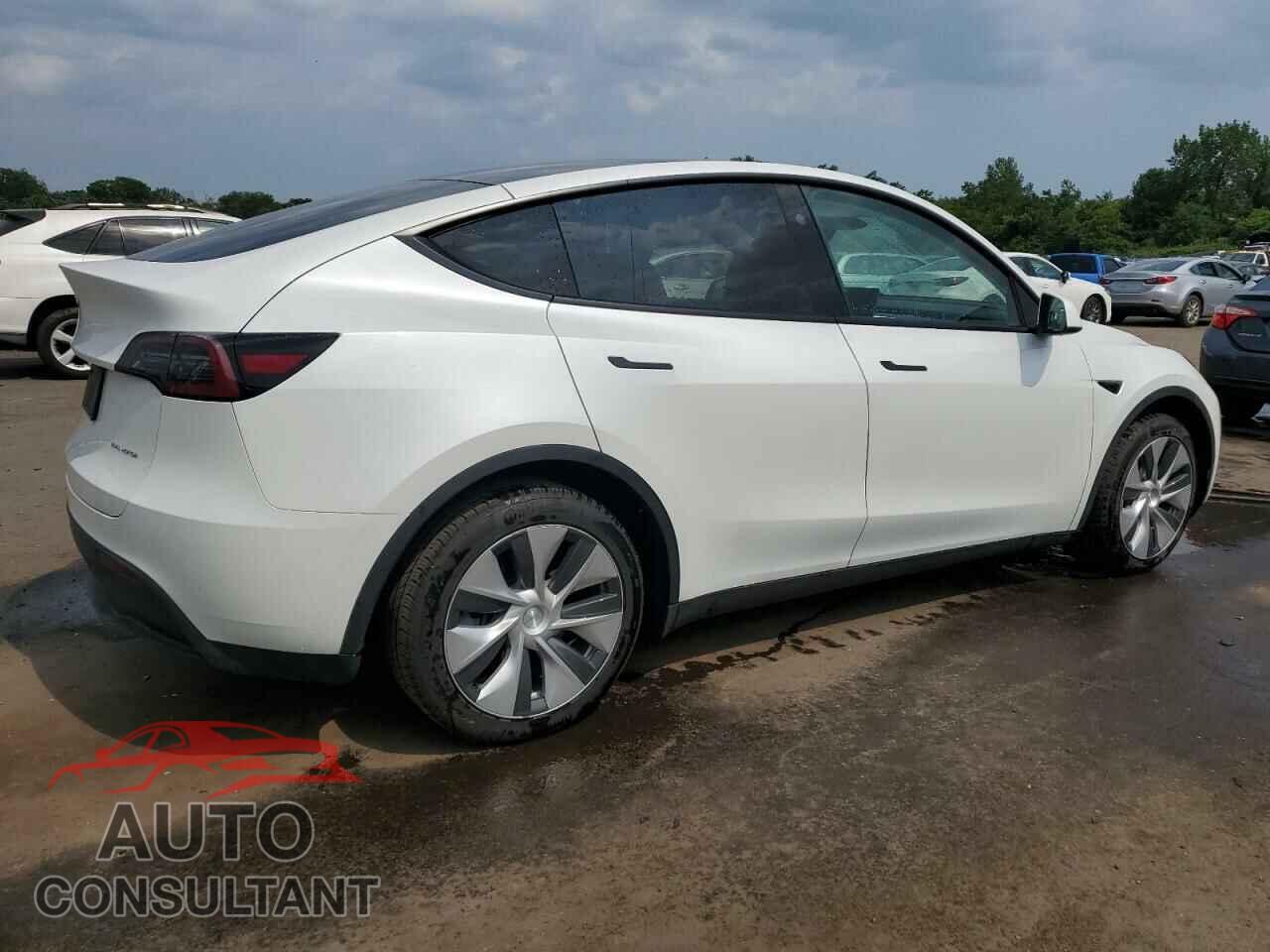 TESLA MODEL Y 2023 - 7SAYGDEE4PF796065