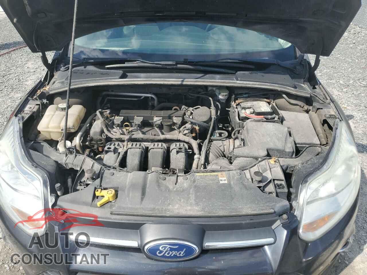 FORD FOCUS 2012 - 1FAHP3F24CL305597