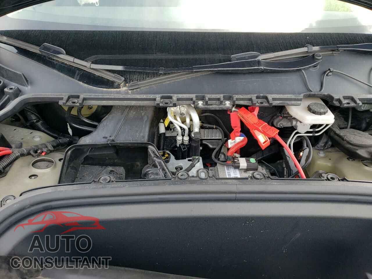 TESLA MODEL Y 2023 - 7SAYGAEE7PF763186