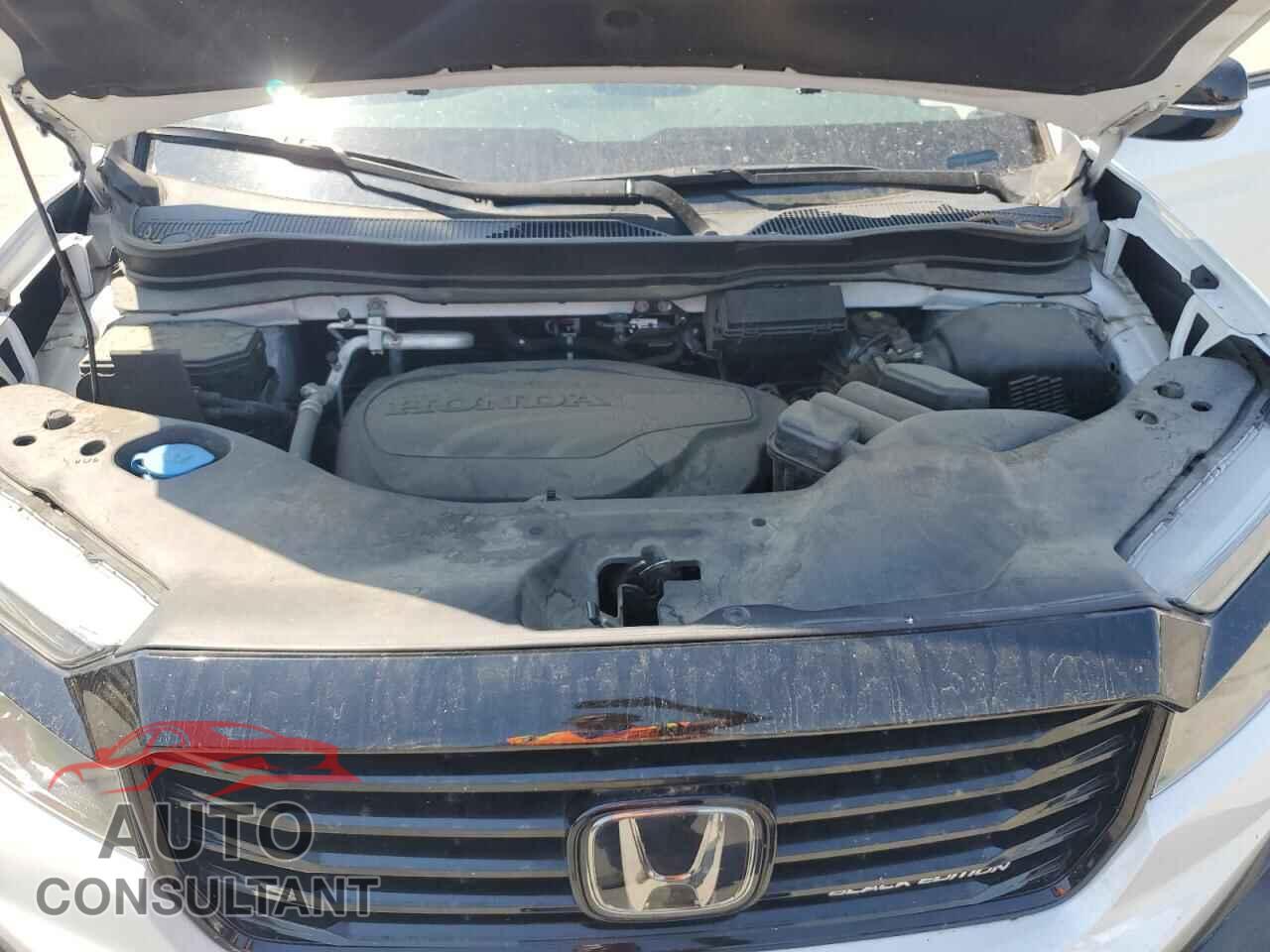 HONDA RIDGELINE 2021 - 5FPYK3F82MB014041