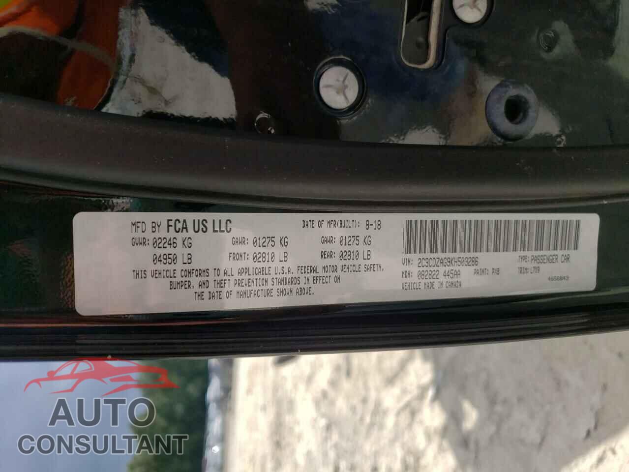 DODGE CHALLENGER 2019 - 2C3CDZAG9KH503286