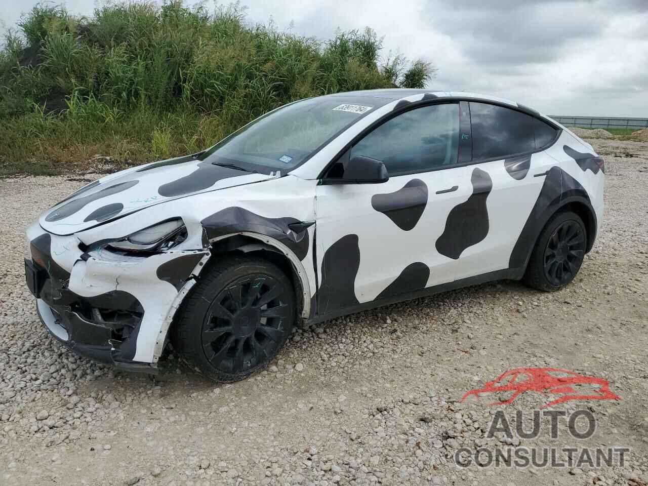 TESLA MODEL Y 2022 - 7SAYGDEE1NA001175