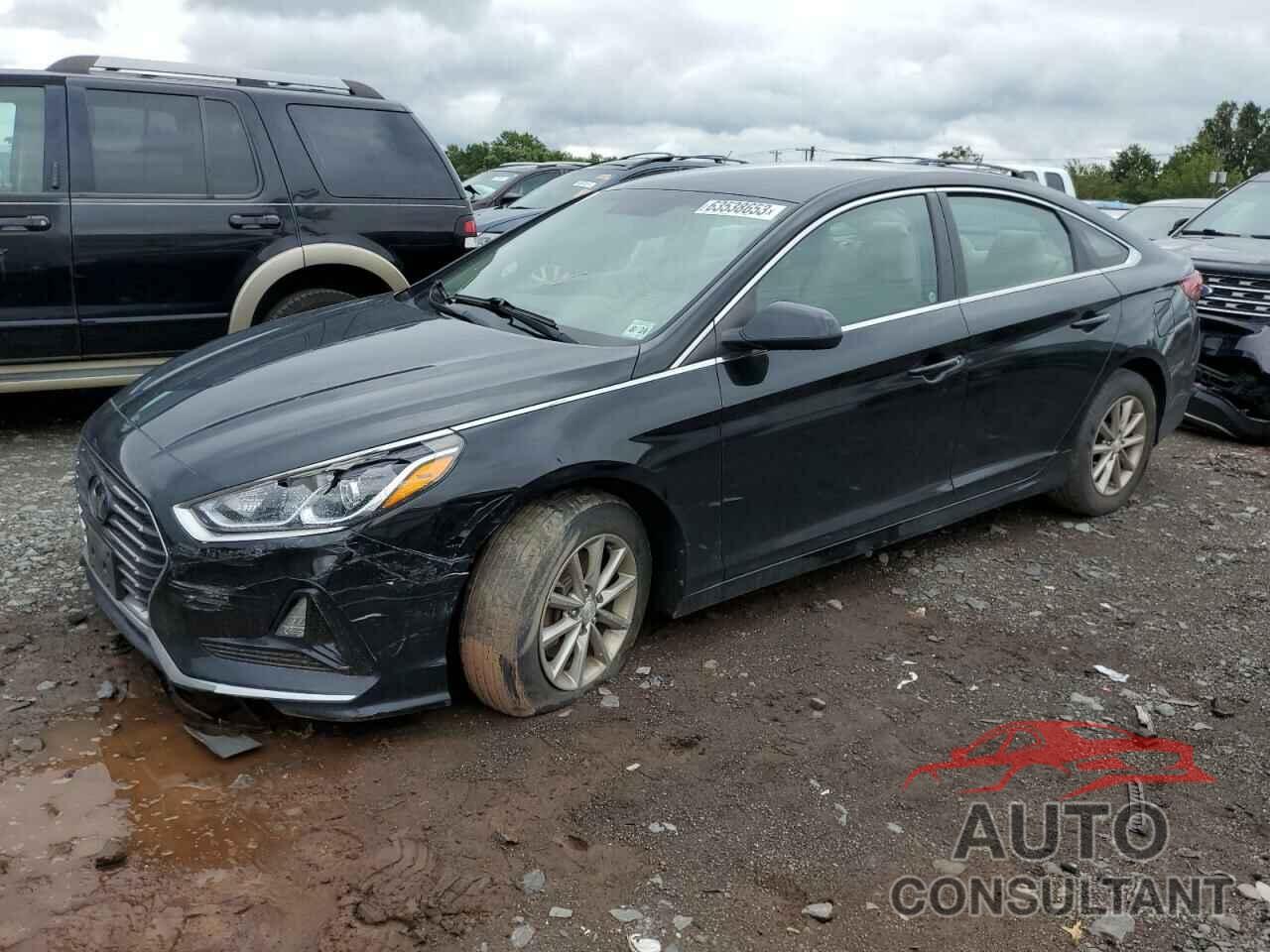 HYUNDAI SONATA 2019 - 5NPE24AF9KH732708