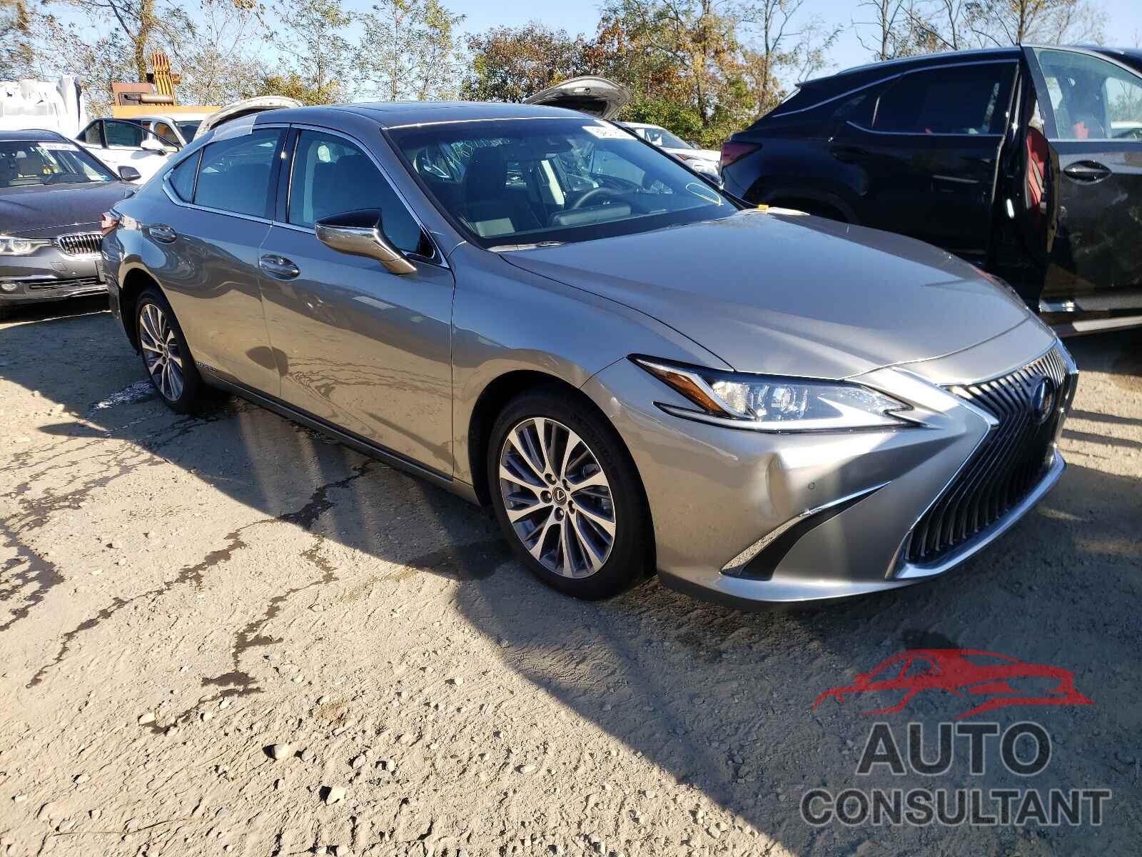 LEXUS ES300 2021 - 58ADA1C18MU010660