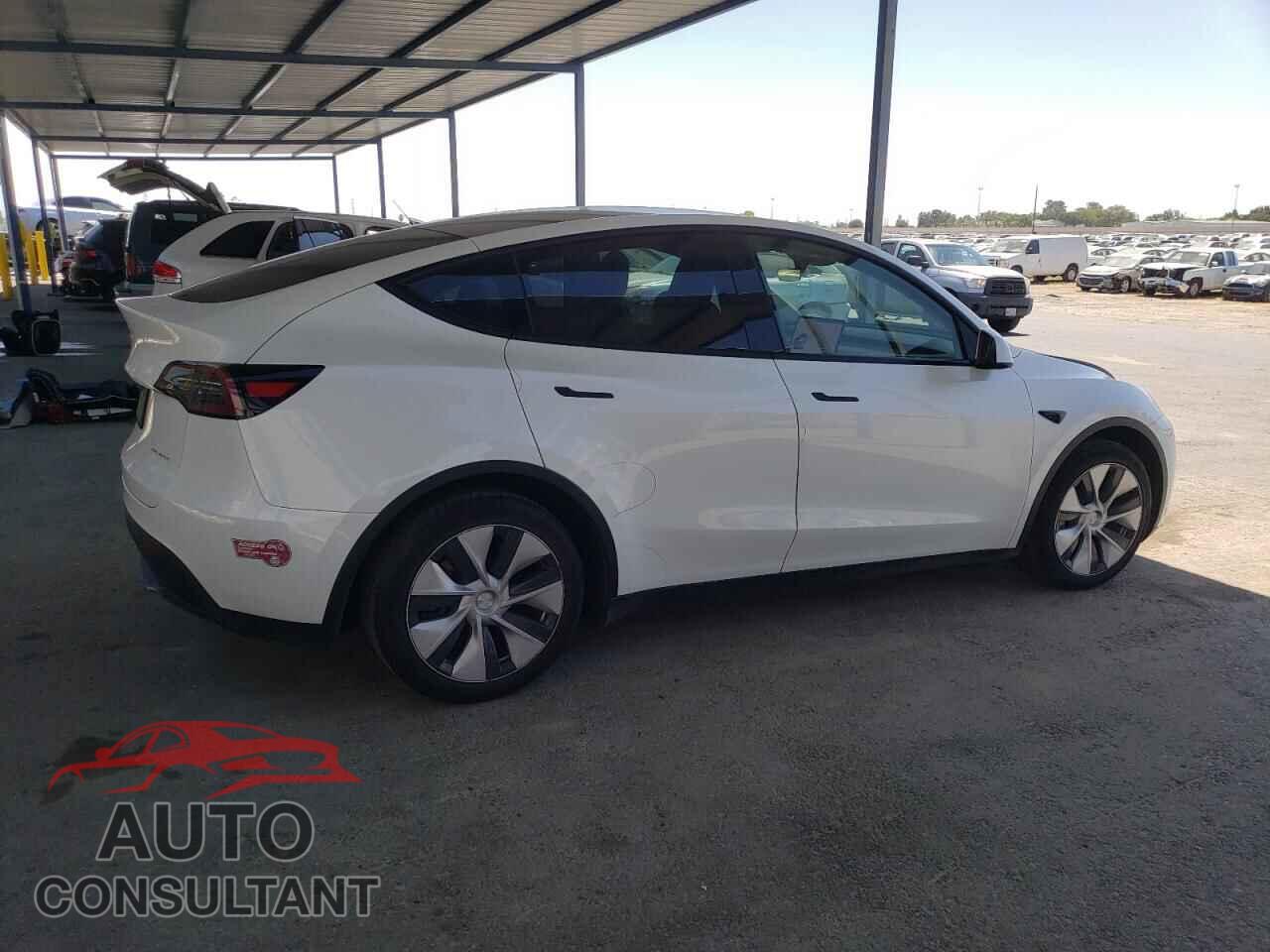 TESLA MODEL Y 2023 - 7SAYGDEE0PF812021
