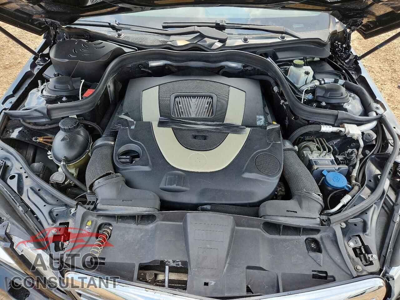 MERCEDES-BENZ E-CLASS 2010 - WDDHF9AB7AA169763