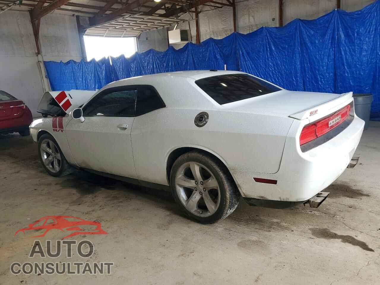 DODGE CHALLENGER 2012 - 2C3CDYBT9CH139376