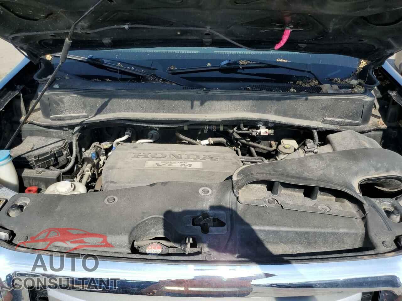 HONDA PILOT 2010 - 5FNYF4H99AB012193