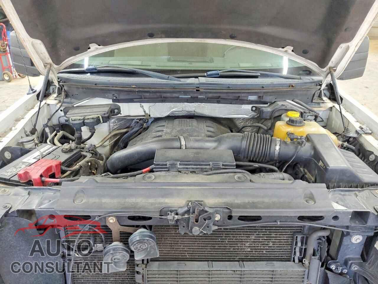 FORD F150 2013 - 1FTFX1ET0DFD31470