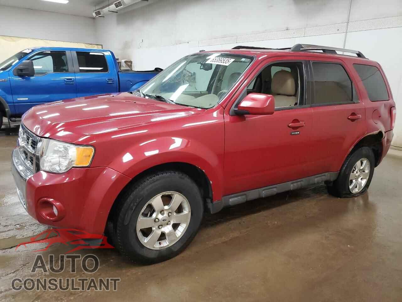 FORD ESCAPE 2011 - 1FMCU0E77BKC03879
