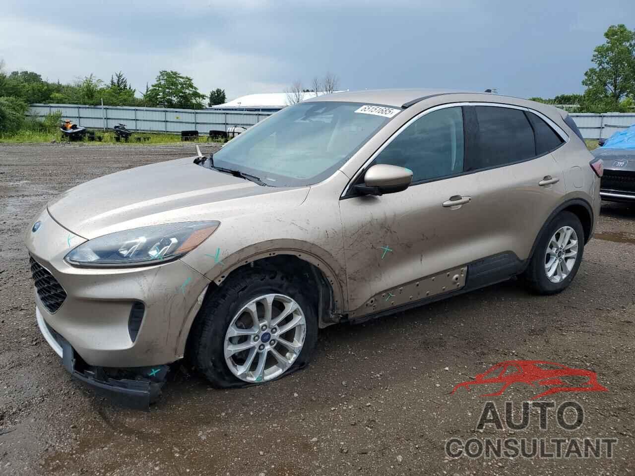 FORD ESCAPE 2020 - 1FMCU0G61LUC13267