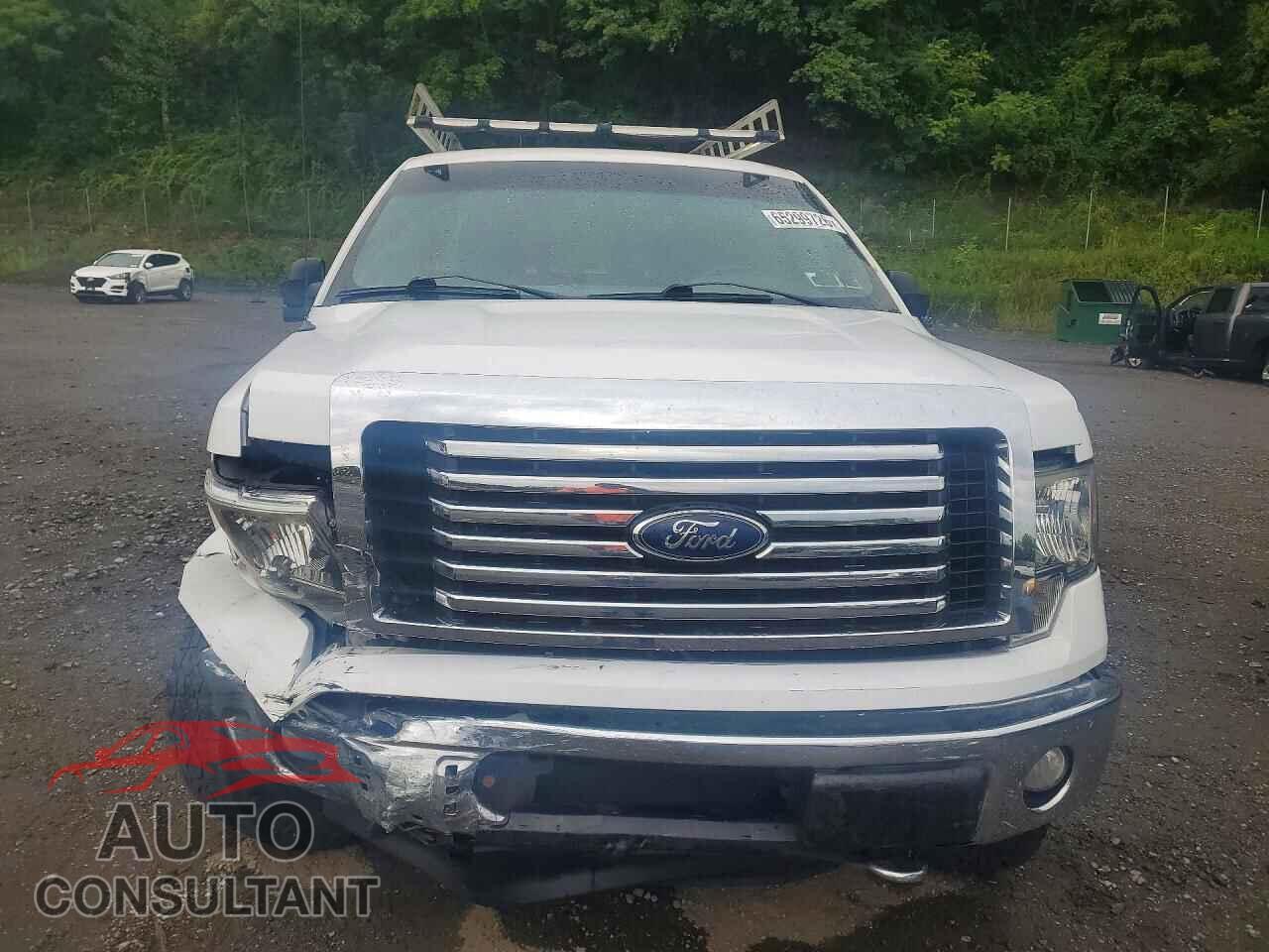 FORD F150 2012 - 1FTFX1EF6CFC86771