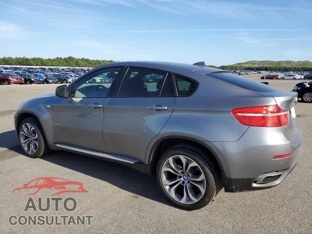 BMW X6 2011 - 5UXFG8C53BLZ96597