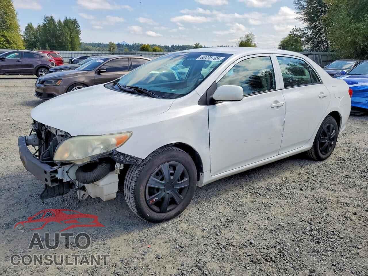 TOYOTA COROLLA 2009 - JTDBL40EX99081908