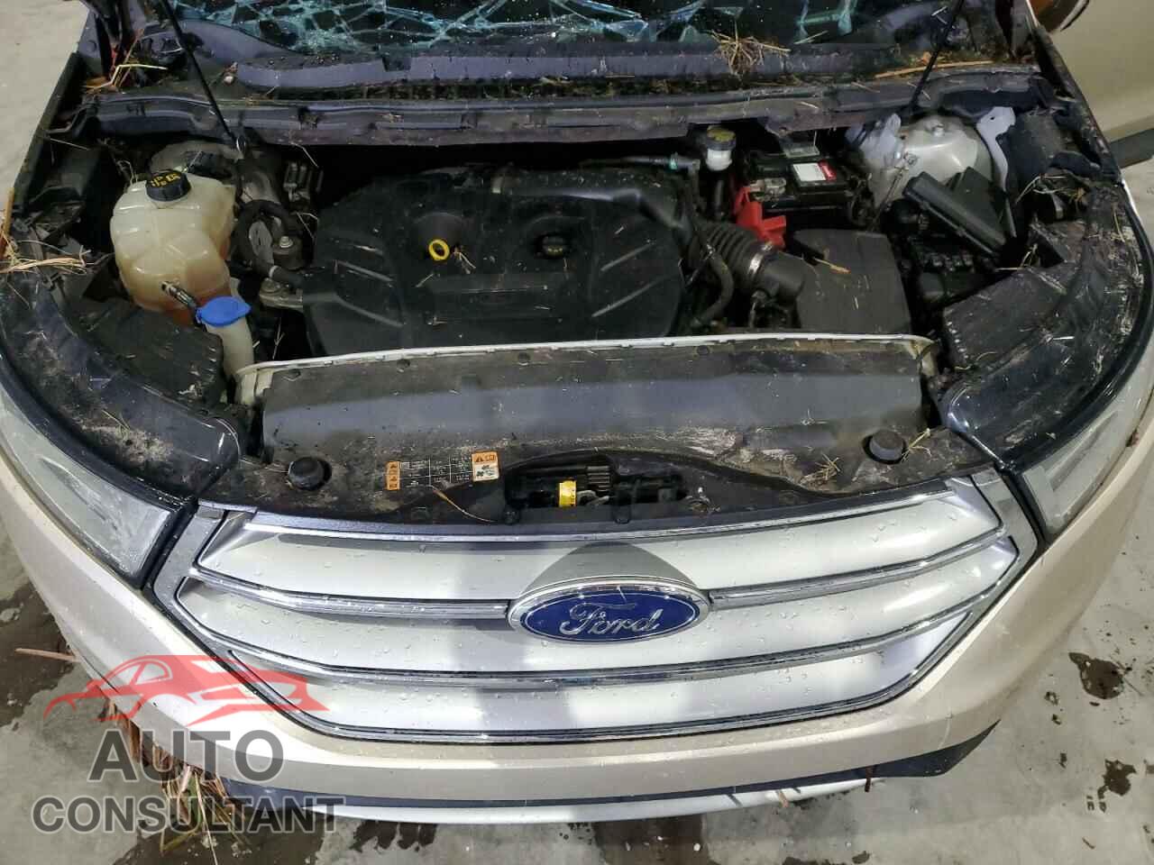 FORD EDGE 2017 - 2FMPK3K96HBC59779