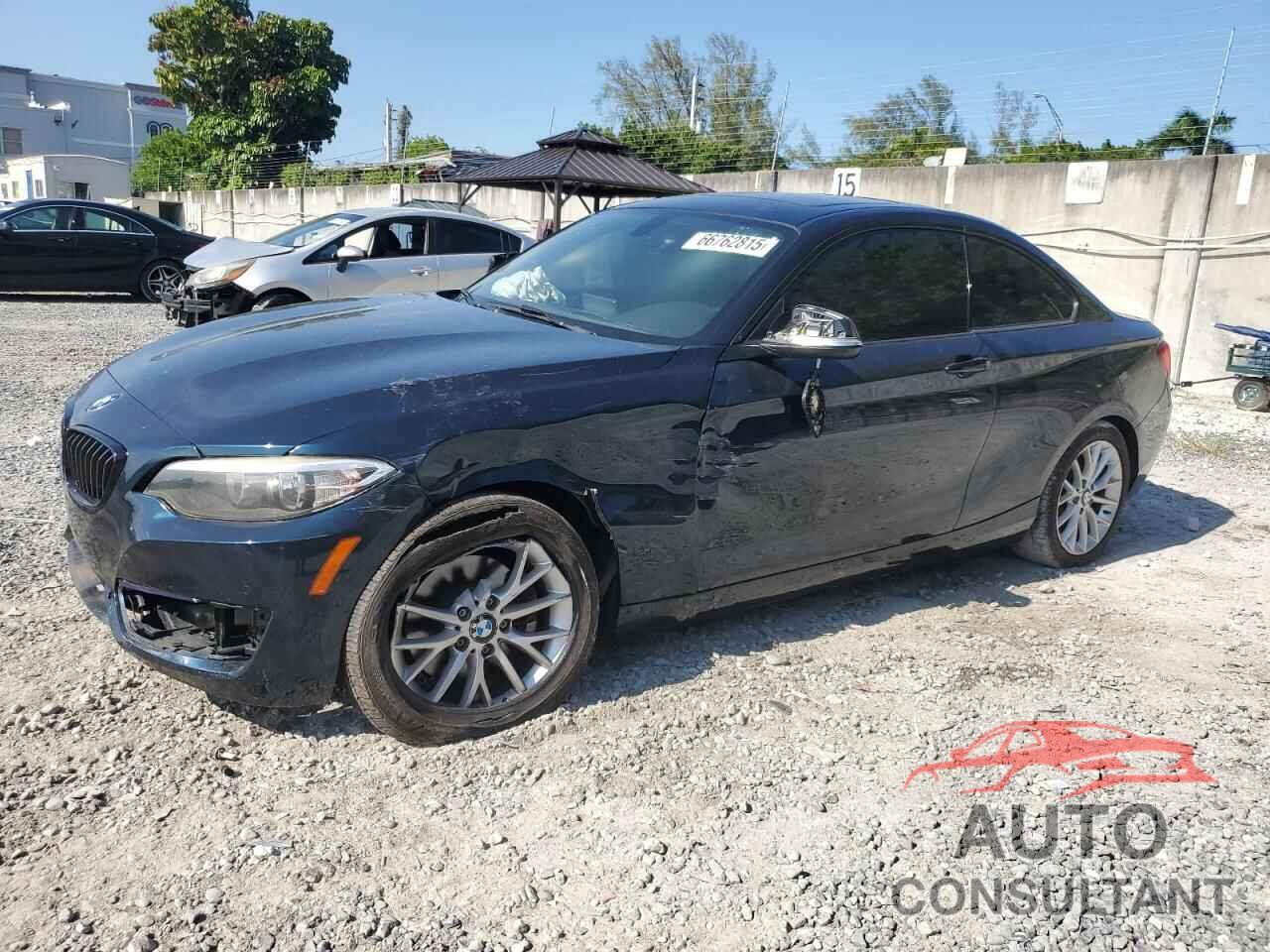 BMW 2 SERIES 2016 - WBA1F9C52GV546288