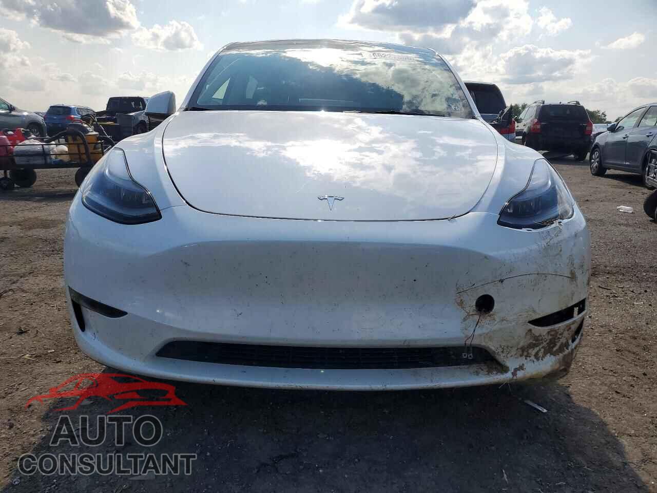 TESLA MODEL Y 2024 - 7SAYGDEDXRF104739