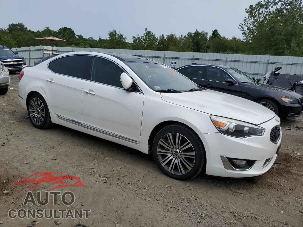 KIA CADENZA 2014 - KNALN4D76E5125167