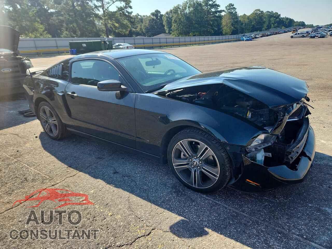 FORD MUSTANG 2014 - 1ZVBP8AM2E5220848