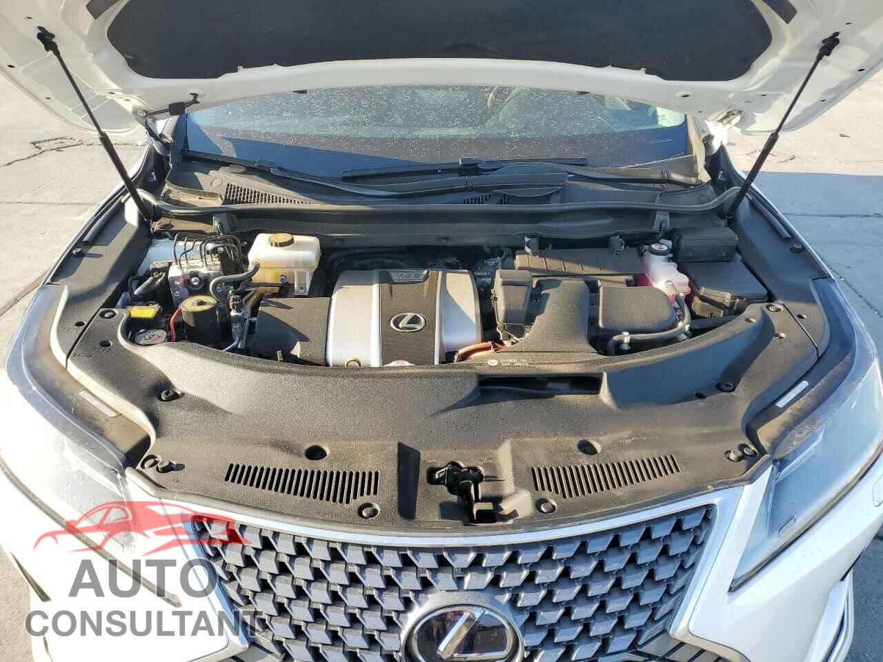 LEXUS RX450 2021 - 2T2HGMDA4MC059228