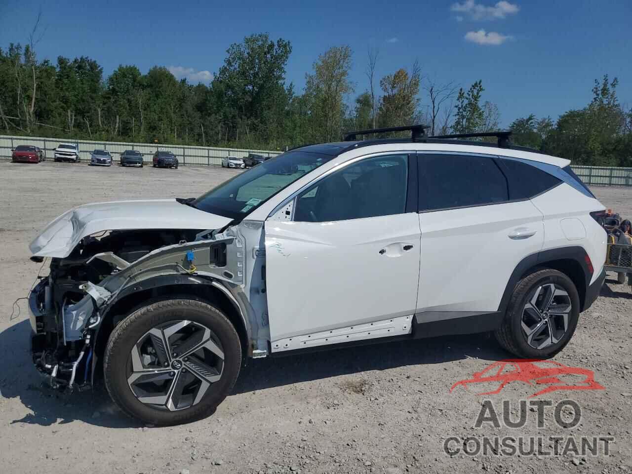 HYUNDAI TUCSON 2023 - 5NMJECAE7PH292385