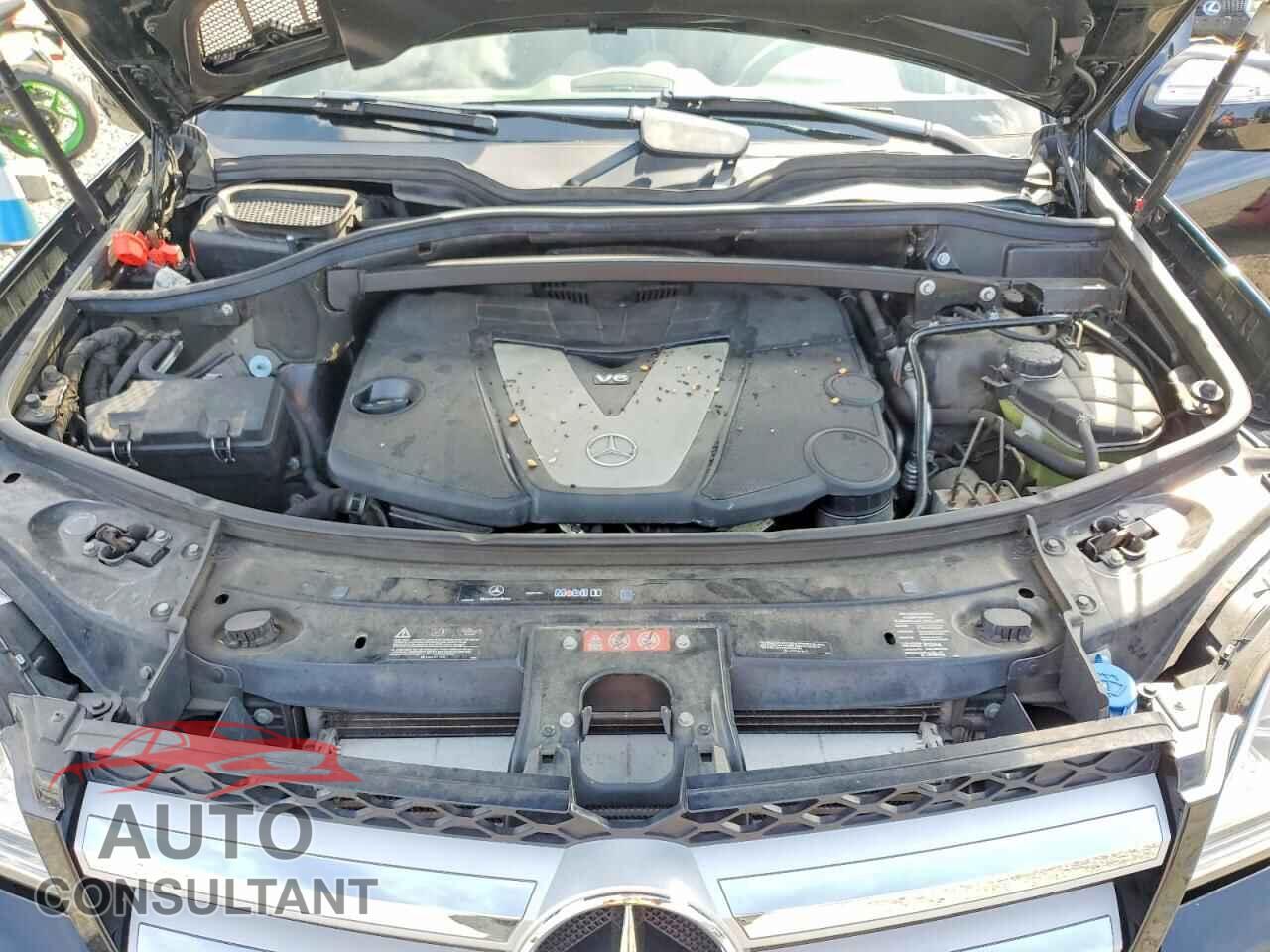 MERCEDES-BENZ GL-CLASS 2009 - 4JGBF25E99A482235