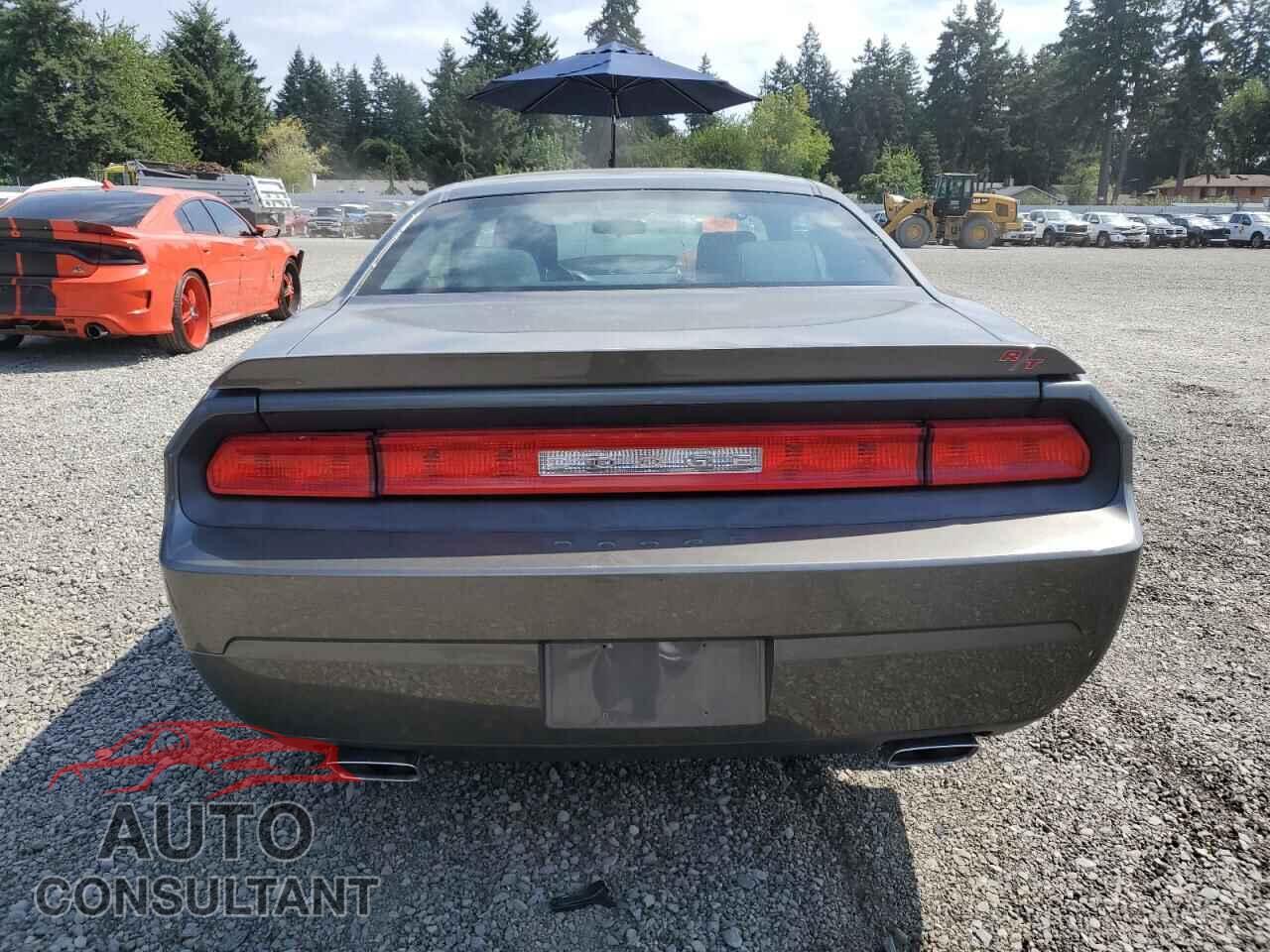 DODGE CHALLENGER 2010 - 2B3CJ5DT4AH208621