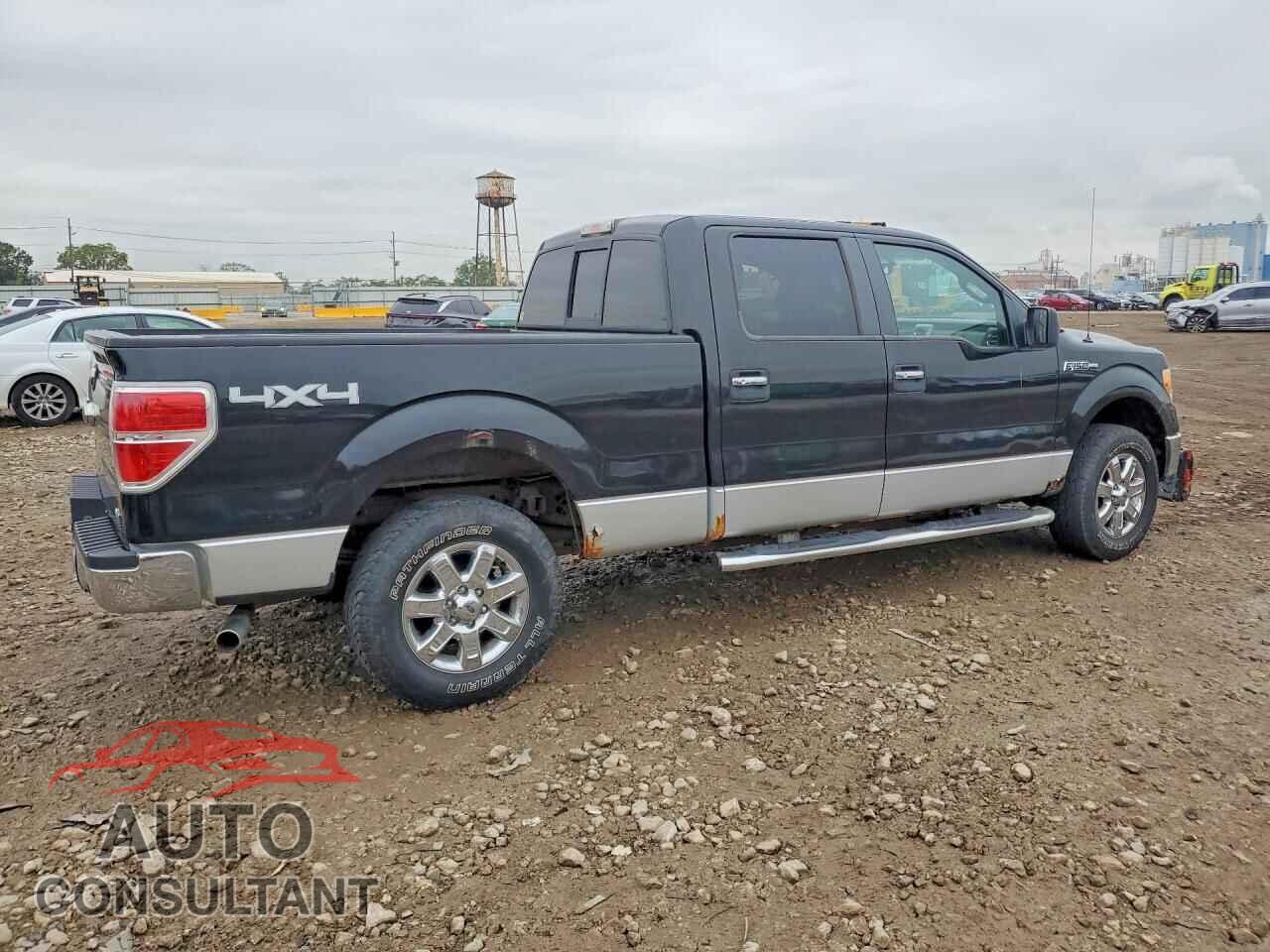 FORD F150 2010 - 1FTFW1EV3AFD65368